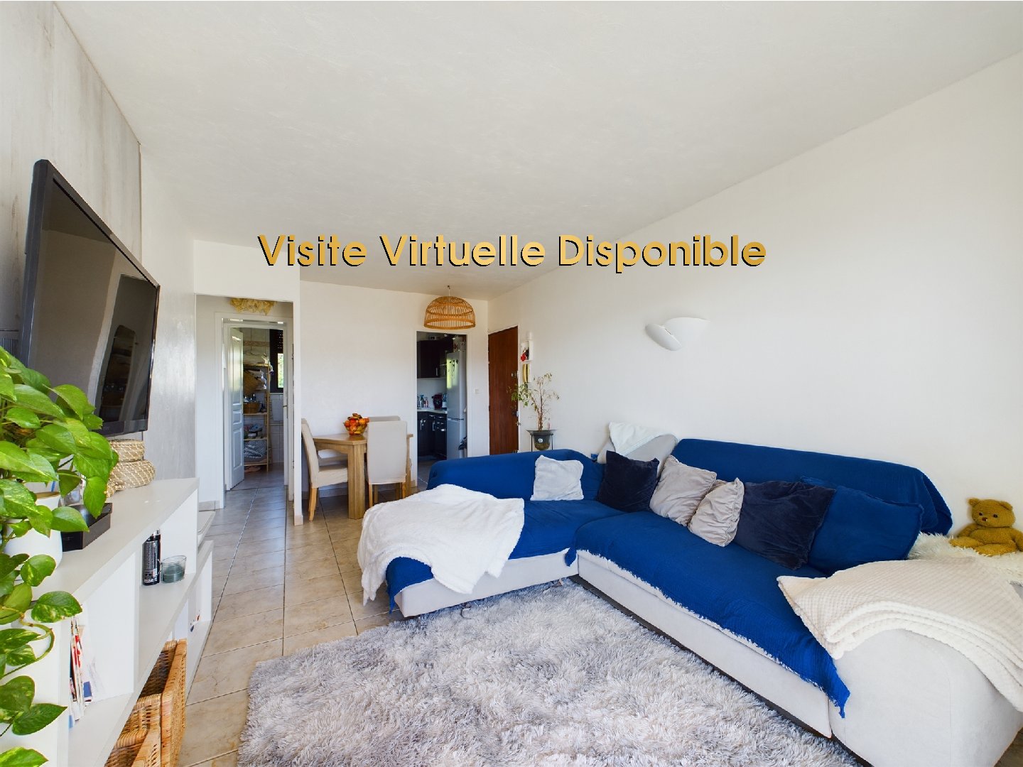 Appartement à ROCHEVILLE (06110) immo reseau