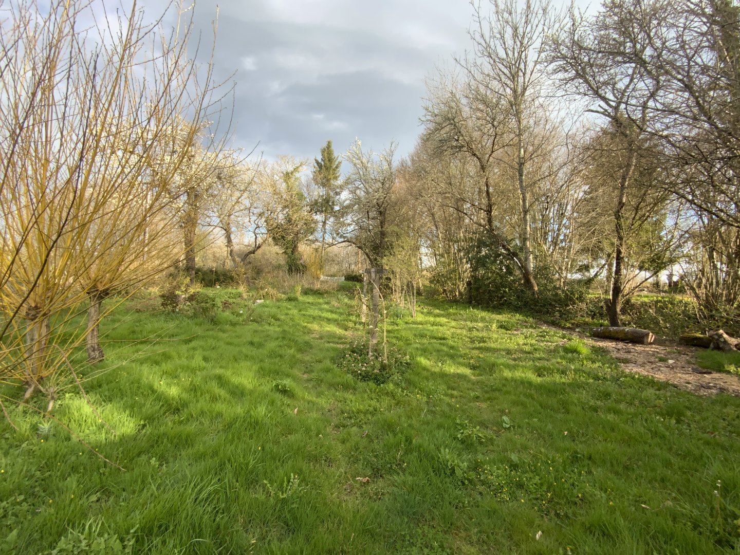 Maison à LA CELLETTE (23350) - 3011439558