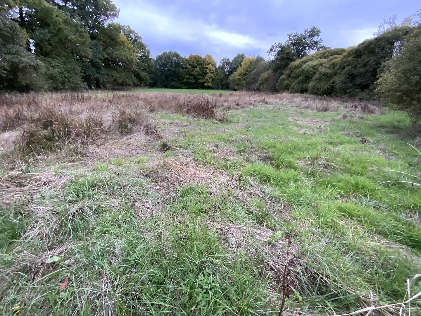 Maison à GENOUILLAC (23350) - 3011441738