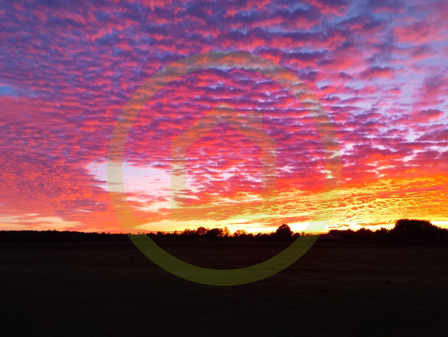 Remise en pierre à MAULEON (79700) - 3011438261