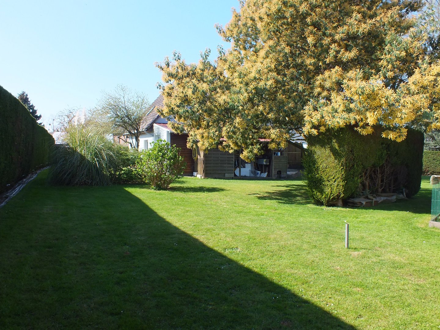 Maison à SAINT AUBIN SUR SCIE (76550) - 3011439421