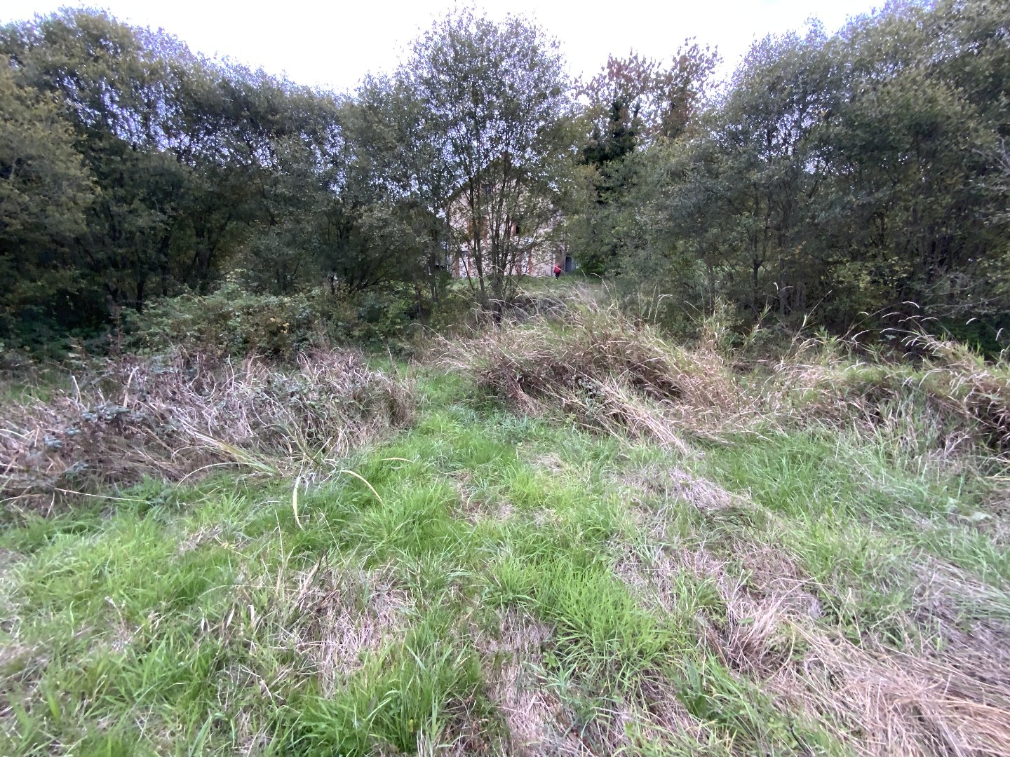 Maison à GENOUILLAC (23350) - 3011441738