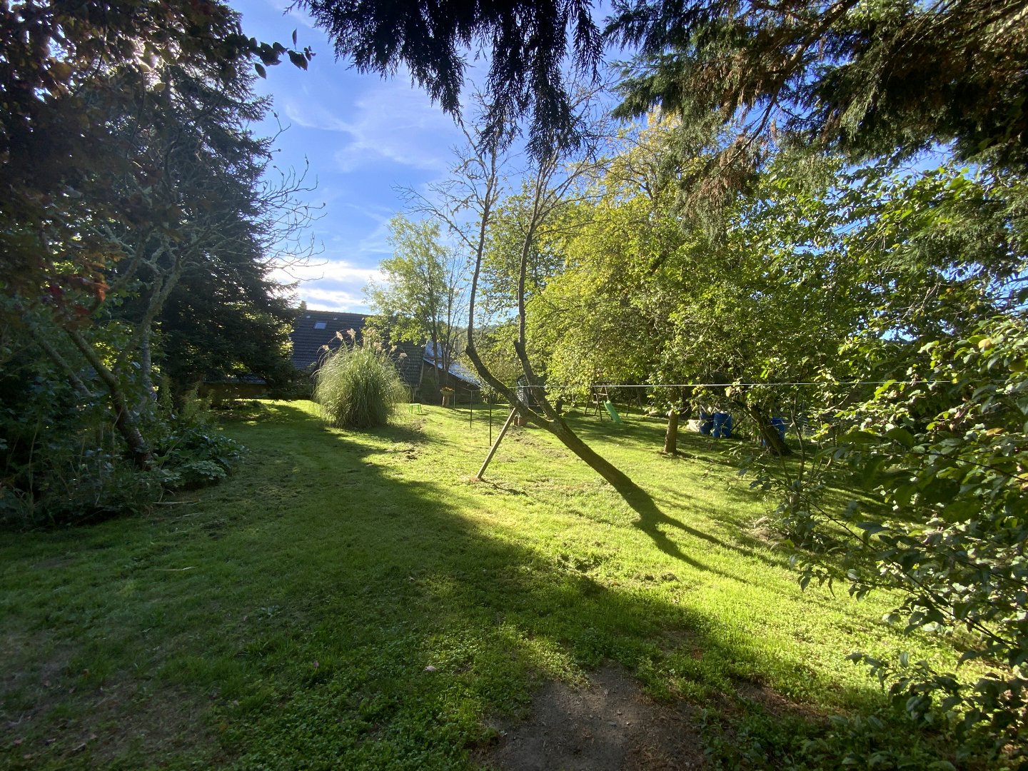 Maison à SAINT PARDOUX LES CARDS (23150) - 3011441748