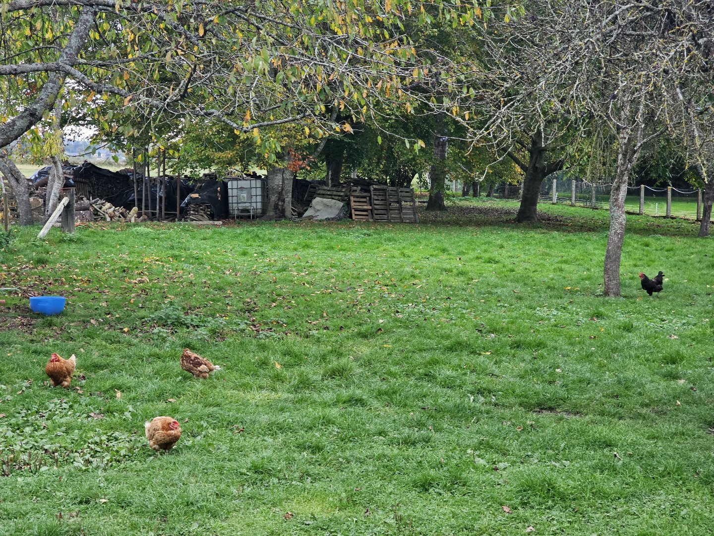 Maison à PERRIERS SUR ANDELLE (27910) - 3011441774