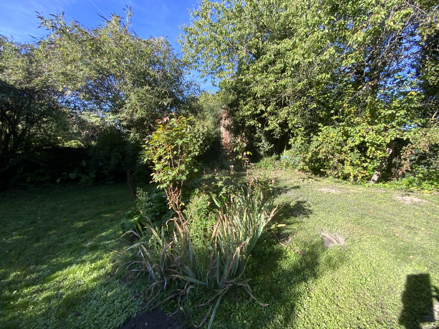 Maison à SAINT PARDOUX LES CARDS (23150) - 3011441748