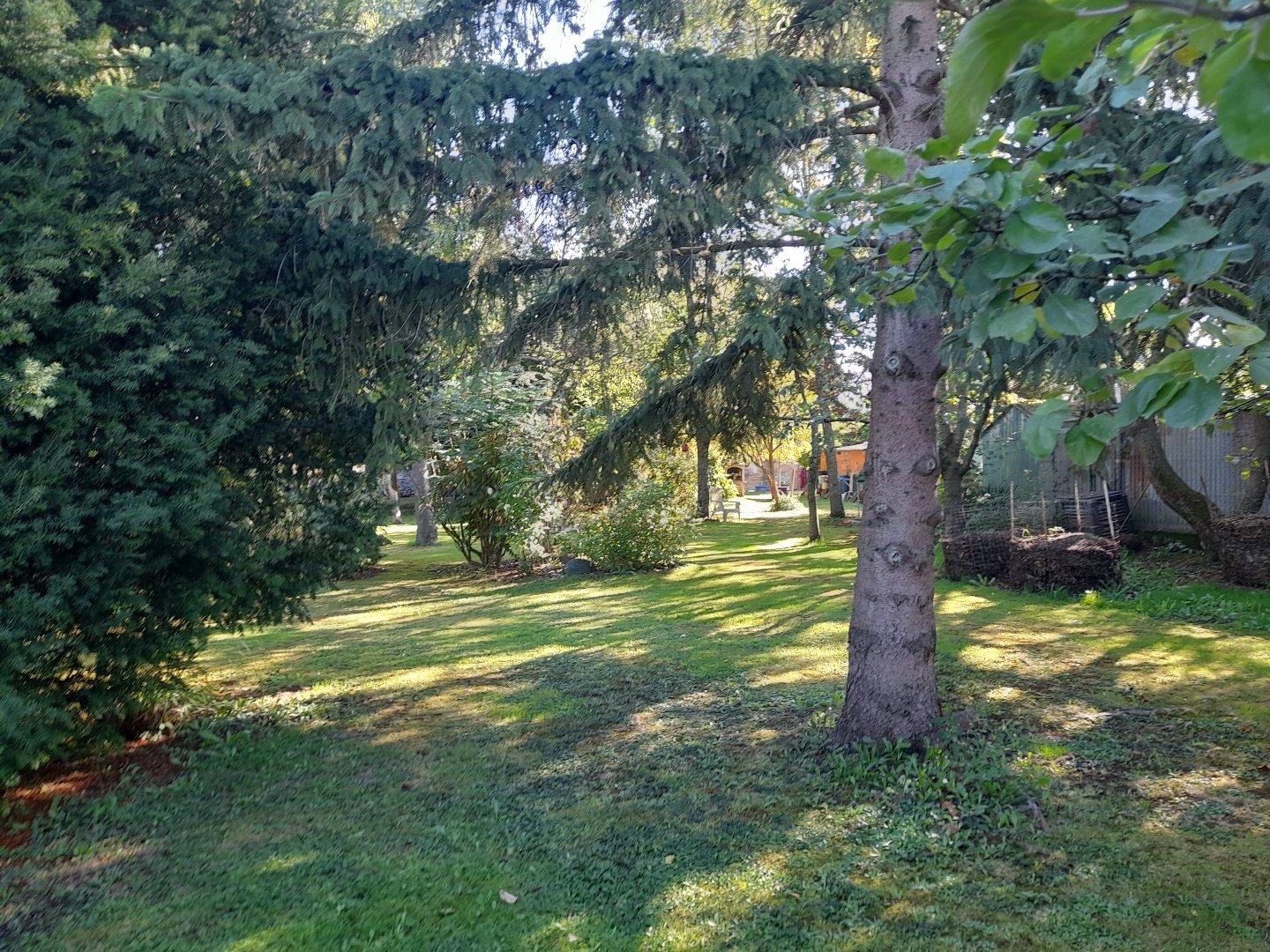 Maison à LACS (36400) - 3011441791