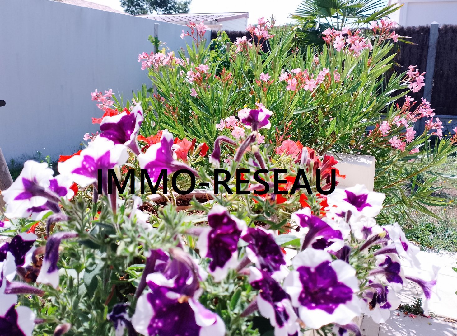 Maison individuelle à NOTRE DAME DE RIEZ (85270) - 3011440767